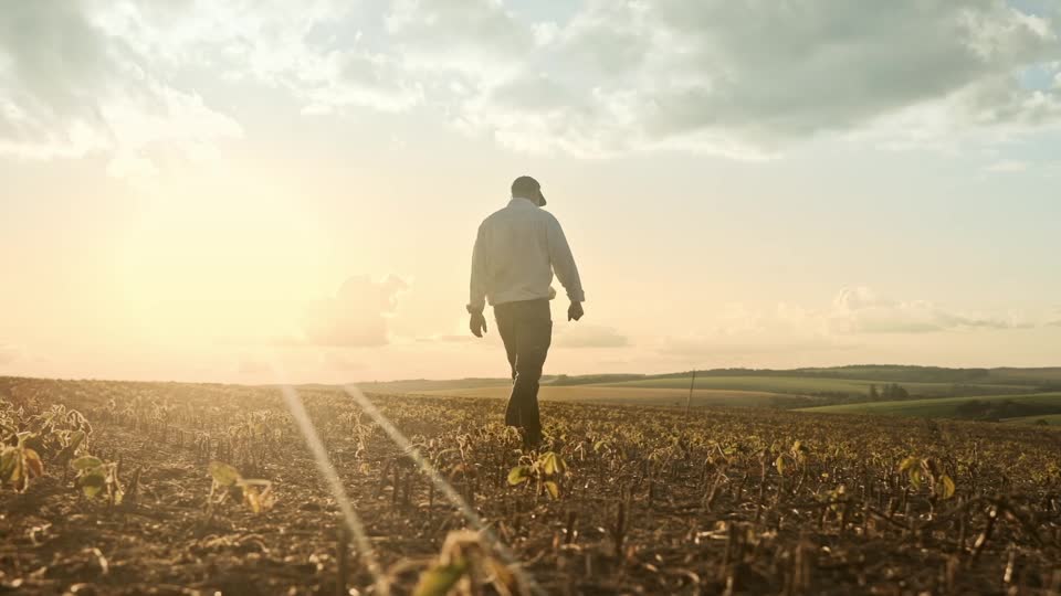 A farmer walks through the field at sunset.